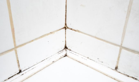 Теплая и влажная среда в вашей ванной комнате может обеспечить идеальные условия для развития плесени.