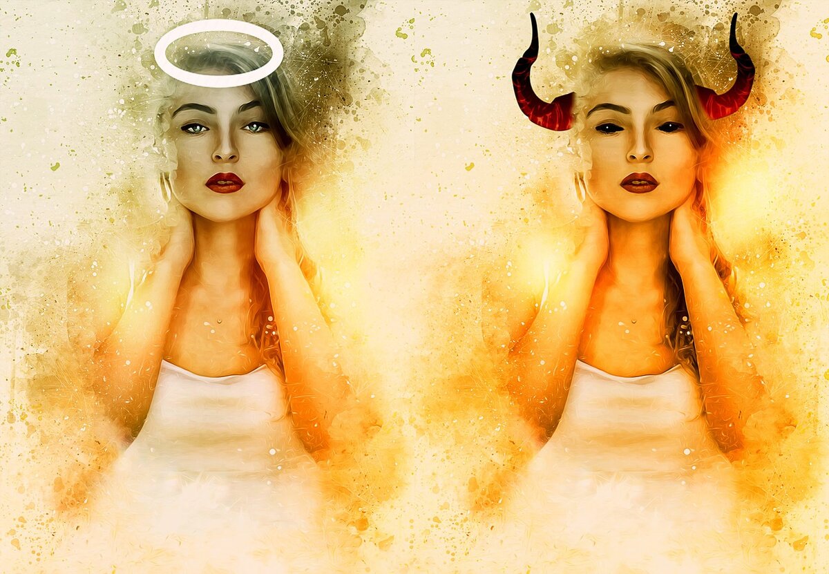 Image by Enrique Meseguer from Pixabay 