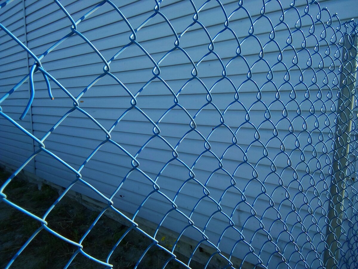 Снимок из моего архива. 