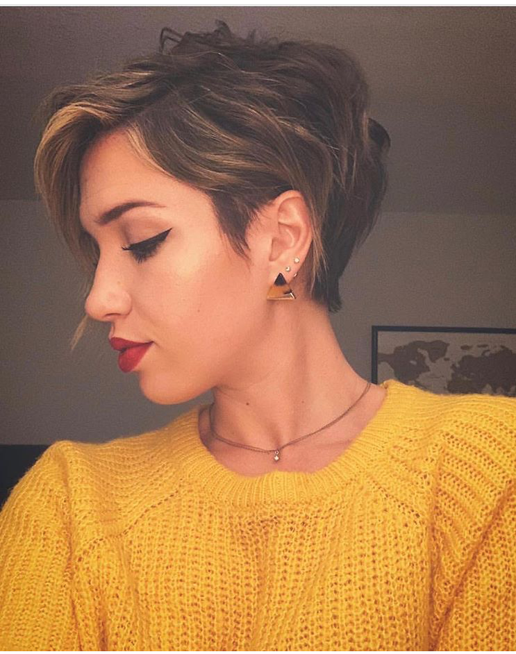 Источник фото: instagram.com/shorthairexclusive?igshid=vfrtkb61de13