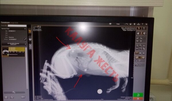 Фото из соцсетей