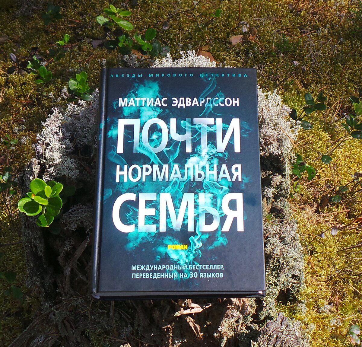 МАТТИАС ЭДВАРДССОН «ПОЧТИ НОРМАЛЬНАЯ СЕМЬЯ»