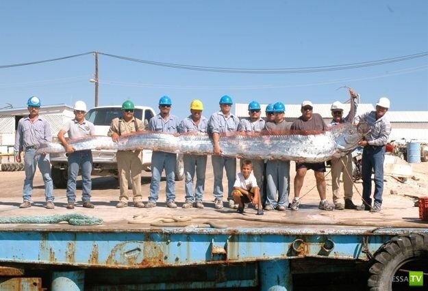  Фото взято из интернета
