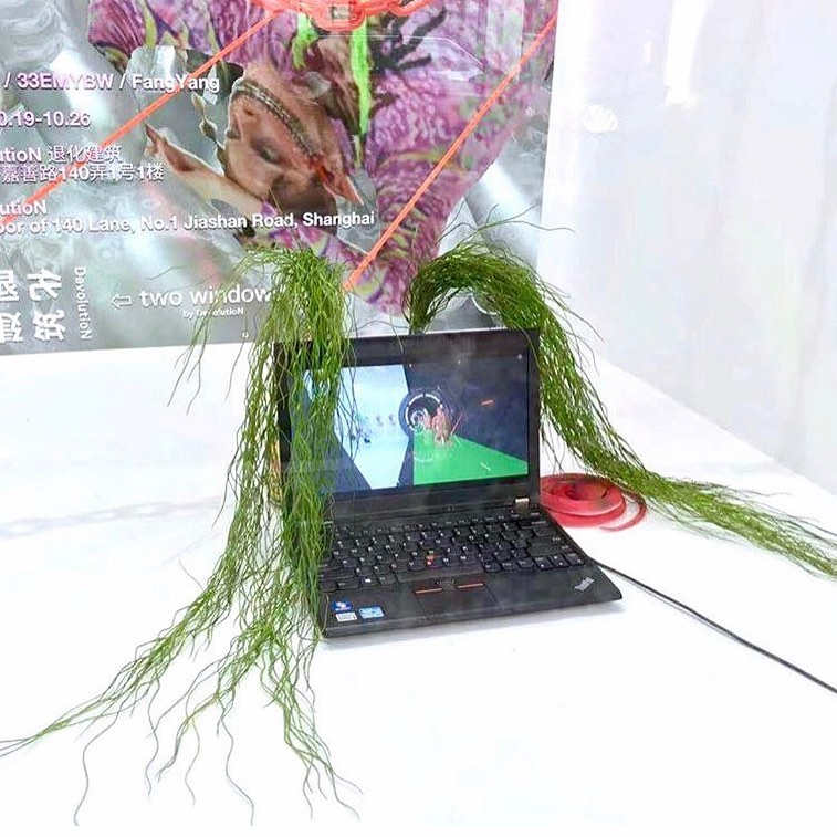 Когда тебе нужно родить креативный контент и ты обустраиваешь среду обитания как можешь