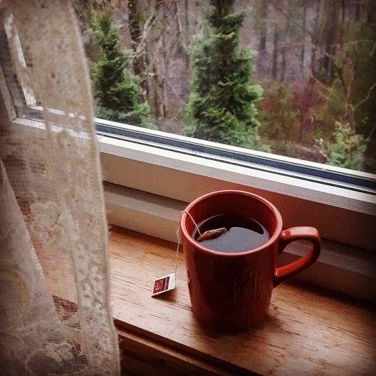 Фото из  интернета.