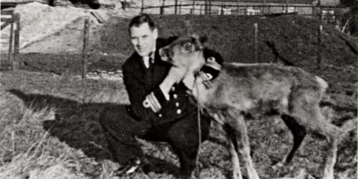 Поллианна уже в зоопарке