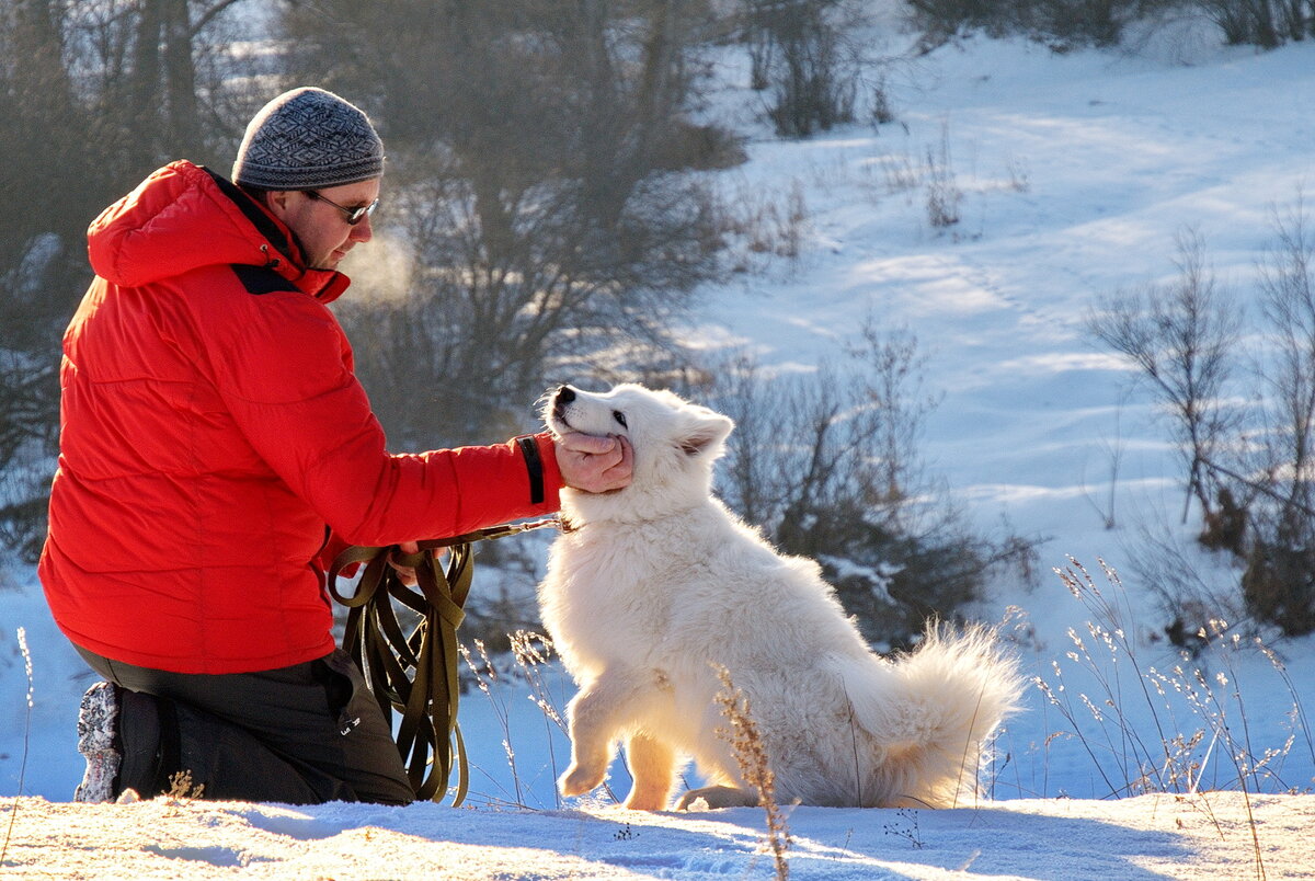 Фото автора