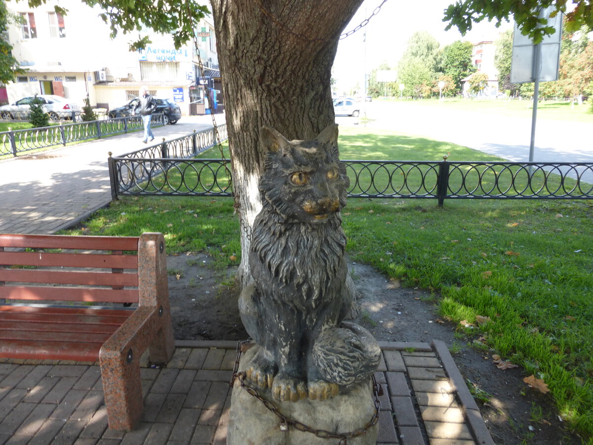 Памятник кот ученый в санкт петербурге