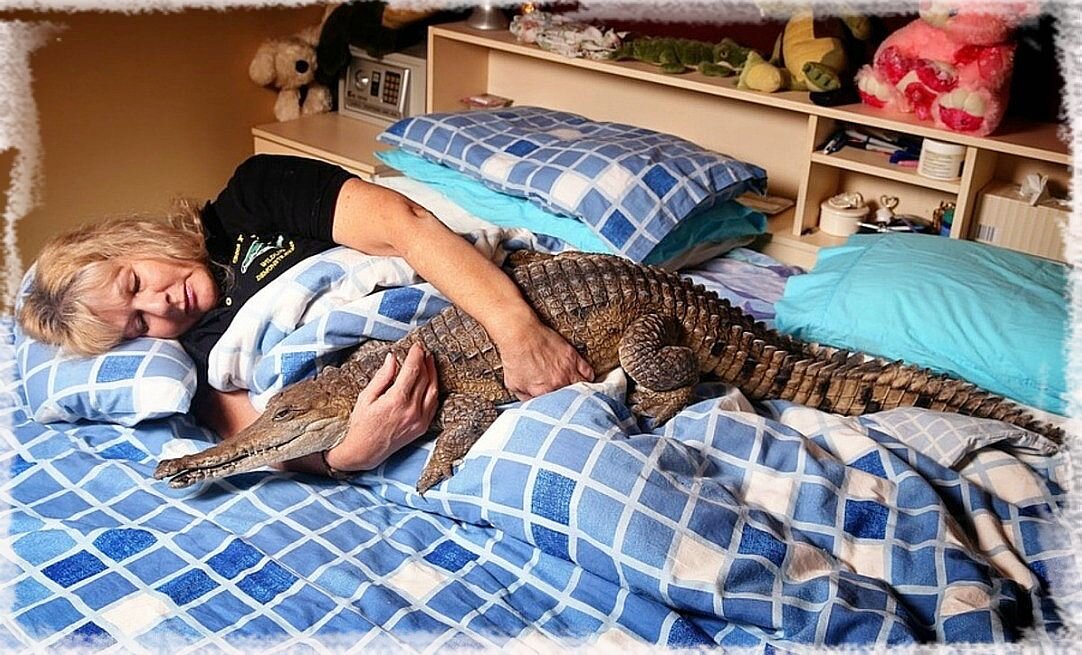 Изображение взято из открытого источника Яндекс картинки