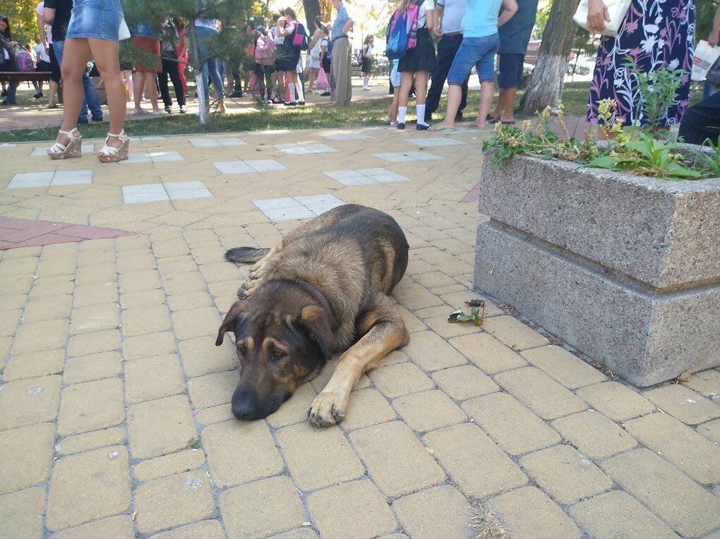 фото автора