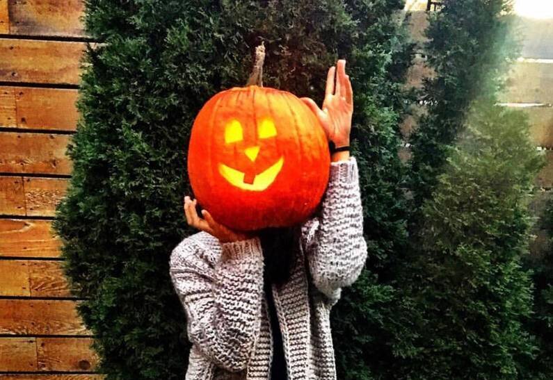 Фотография: DR