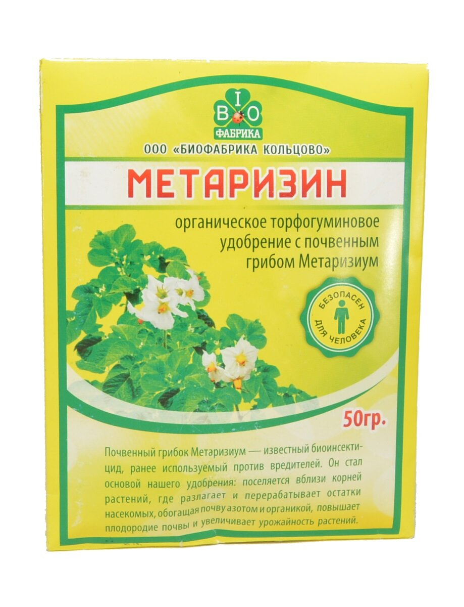 фото Яндекс.Картинки