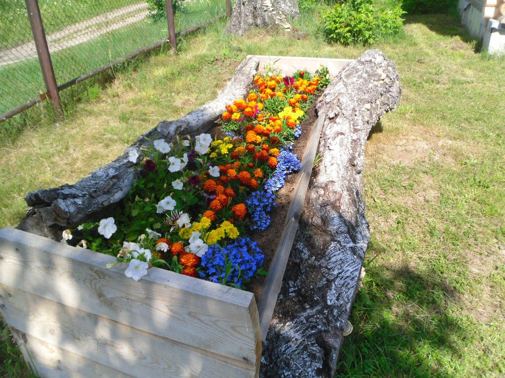 Наша клумба :)