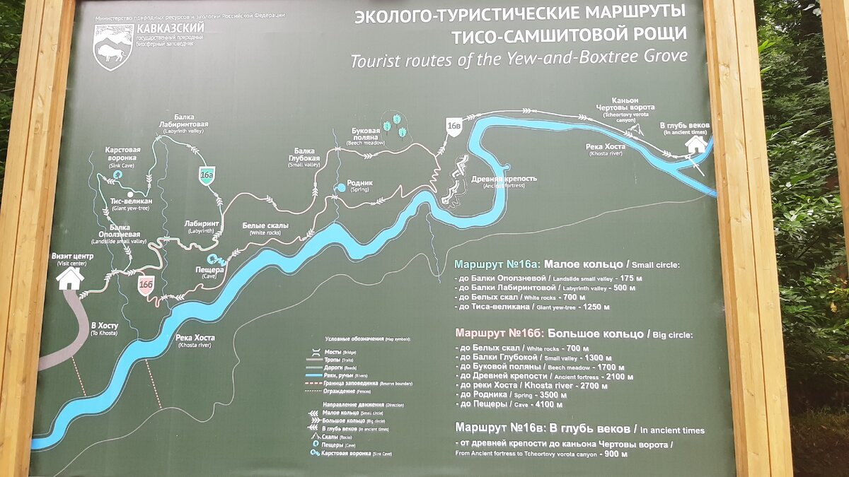 Тисо самшитовая роща план