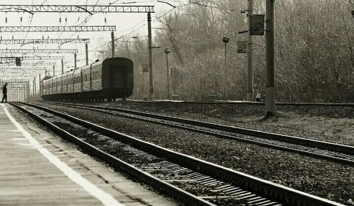 Фото из интернета 