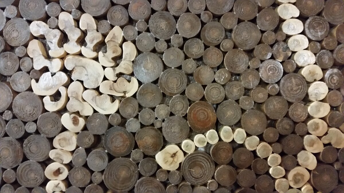 Фрагмент модульной картины с цветами из спилов веток сосны и можжевельника