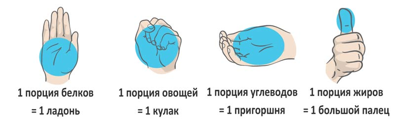 Размер порции. Размер порции ладонь. Метод ладони. Размер порции по руке.