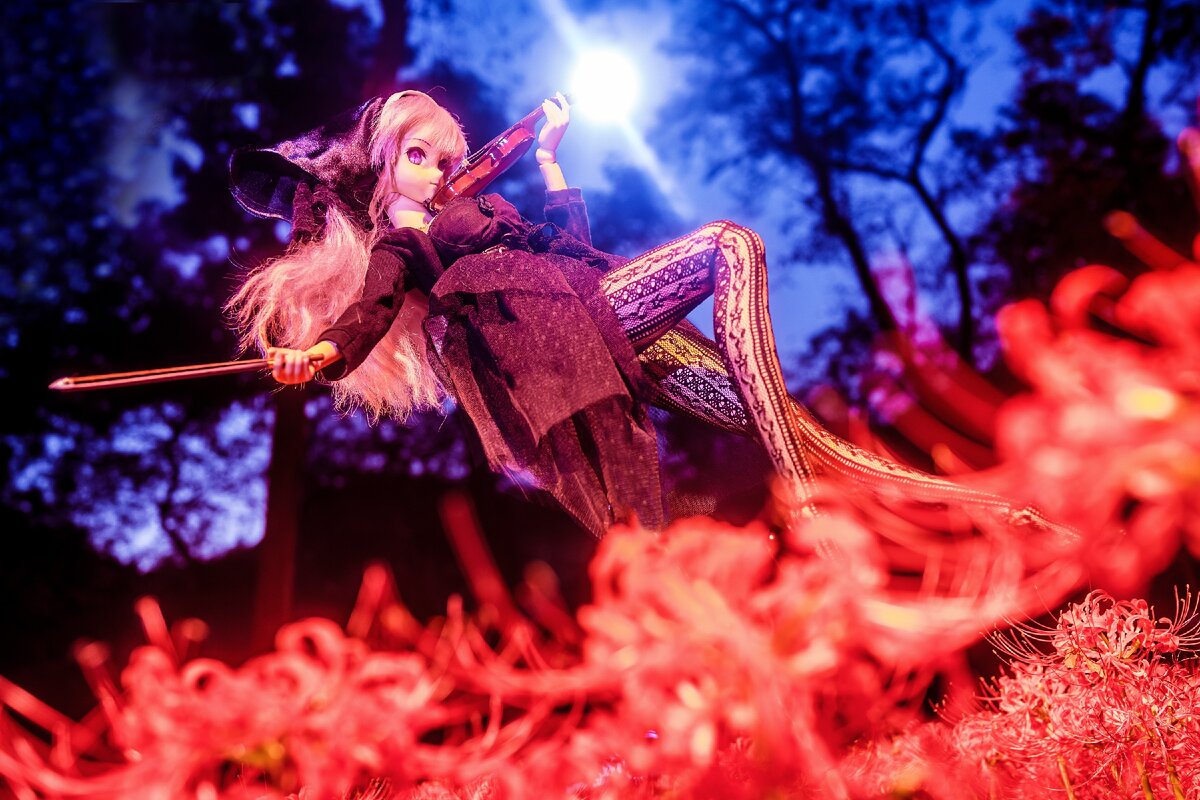 scarlet nocturne