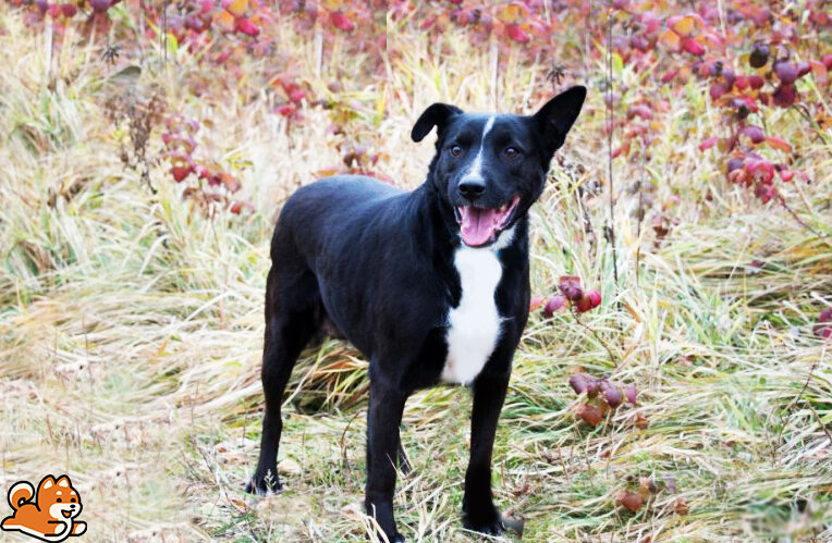 Не забудьте поставить лайк