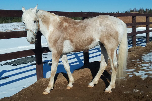 Фото из частной коллекции