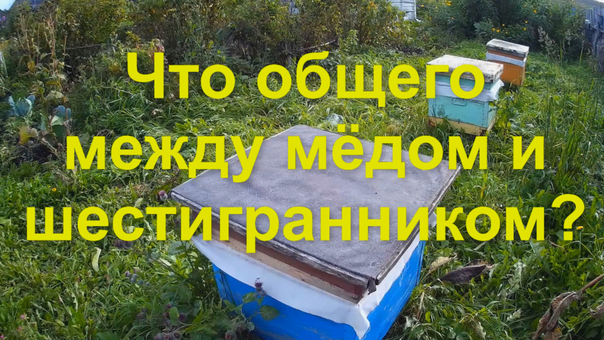 Что общего?