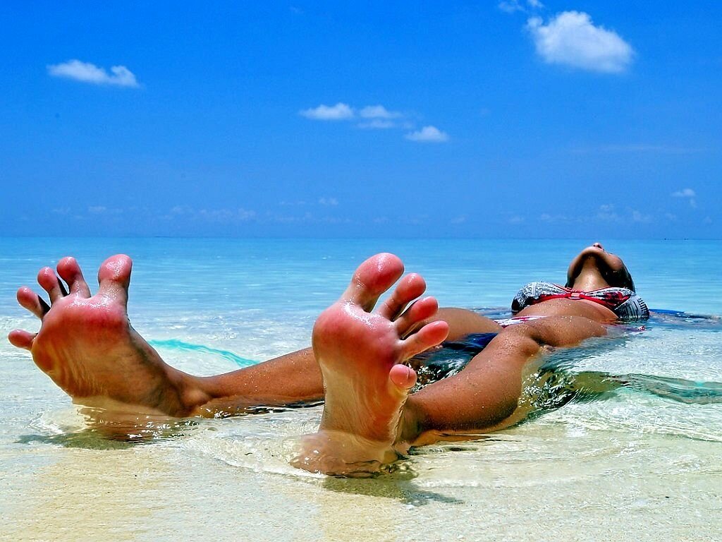 Мечта, да и только!