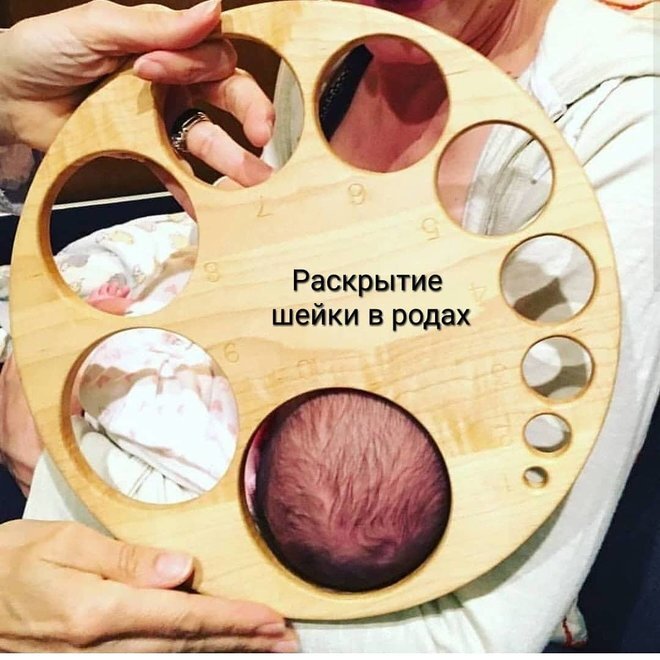 © Instagram @ginekolog_trofimchik