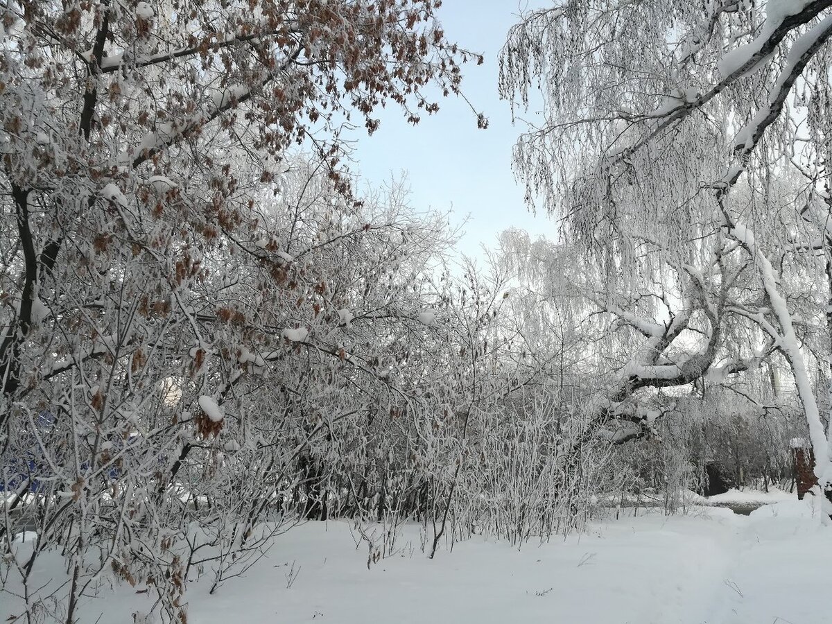 Зима в Иркутске. Фото автора