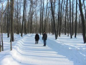 Здесь будет новогодний фейерверк