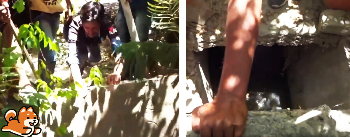 Достают щенка из канализации