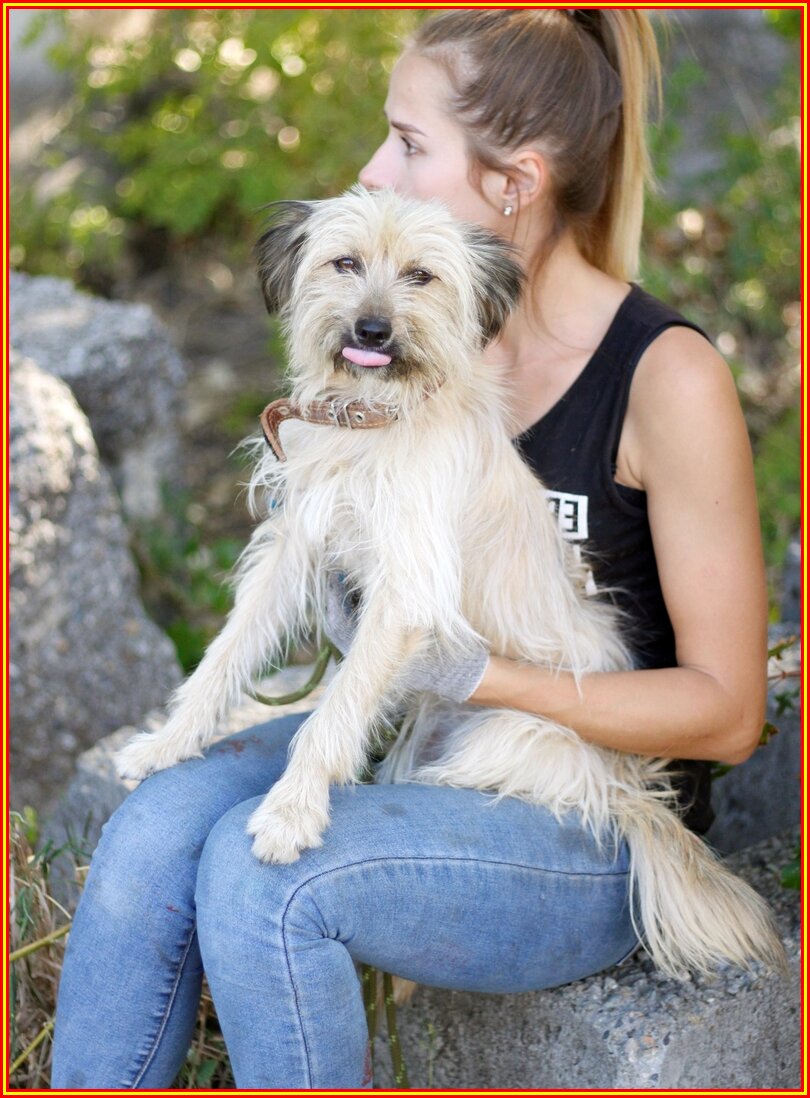 Фото из приюта "Лучший друг" г. Ставрополь