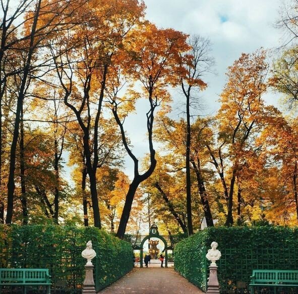 Летний сад. Фото взято из интернета 