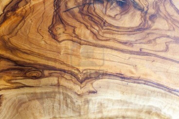 древесина оливы