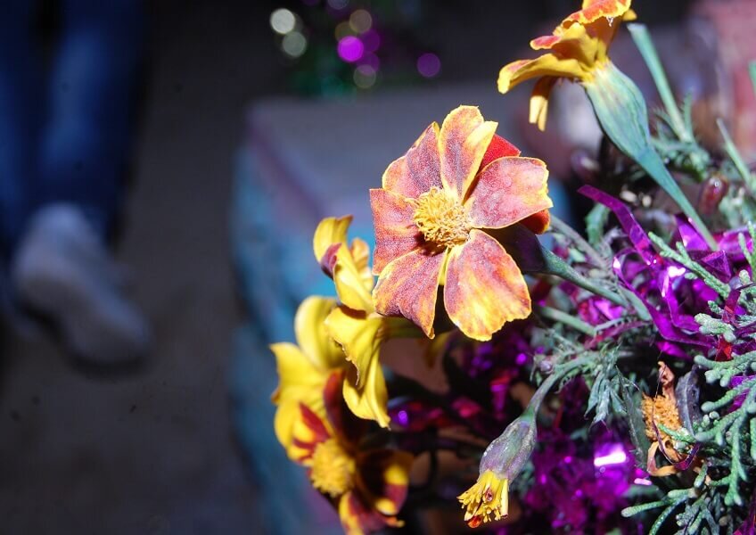 Источник фото: www.pixabay.com