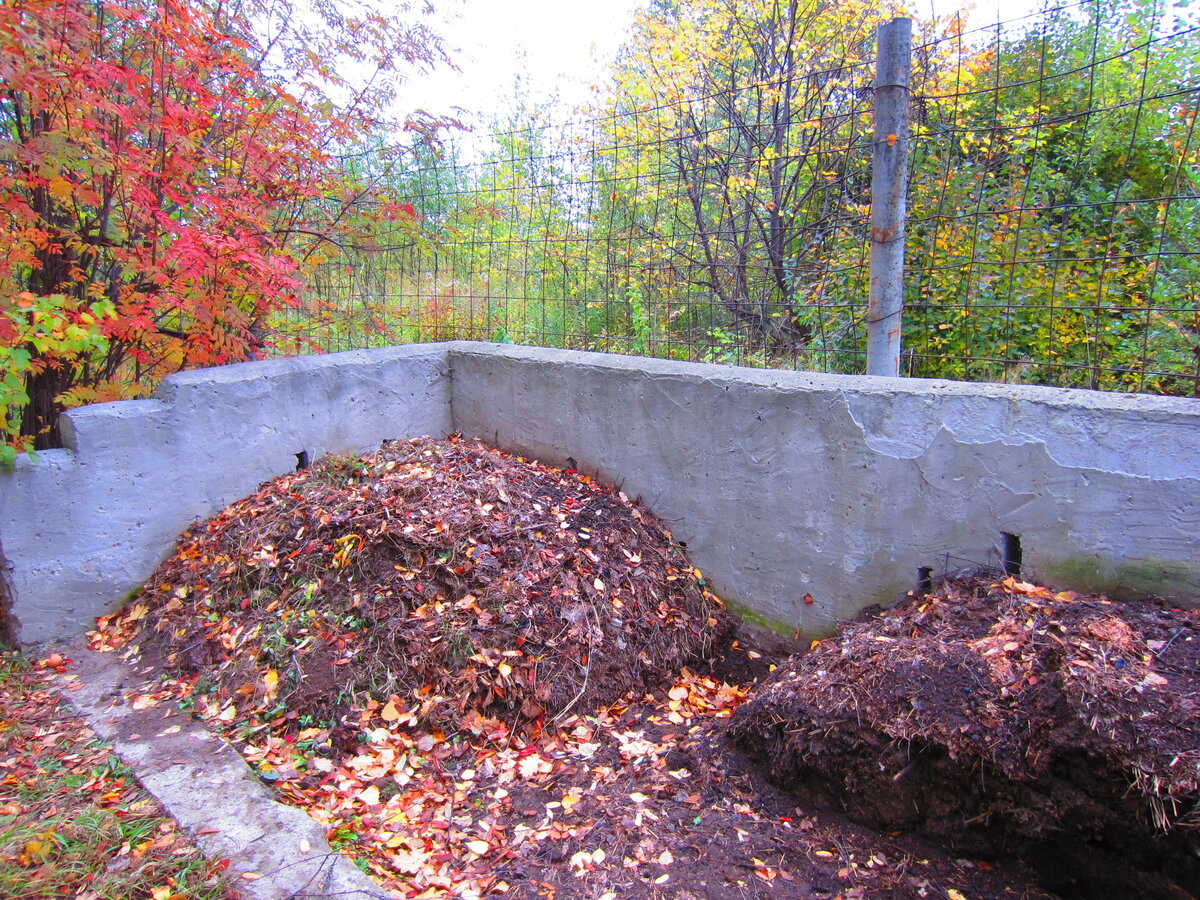 Компостный бункер на две кучи. В той, что ближе, компост уже созрел и его пора развозить по участку, освобождая место 
