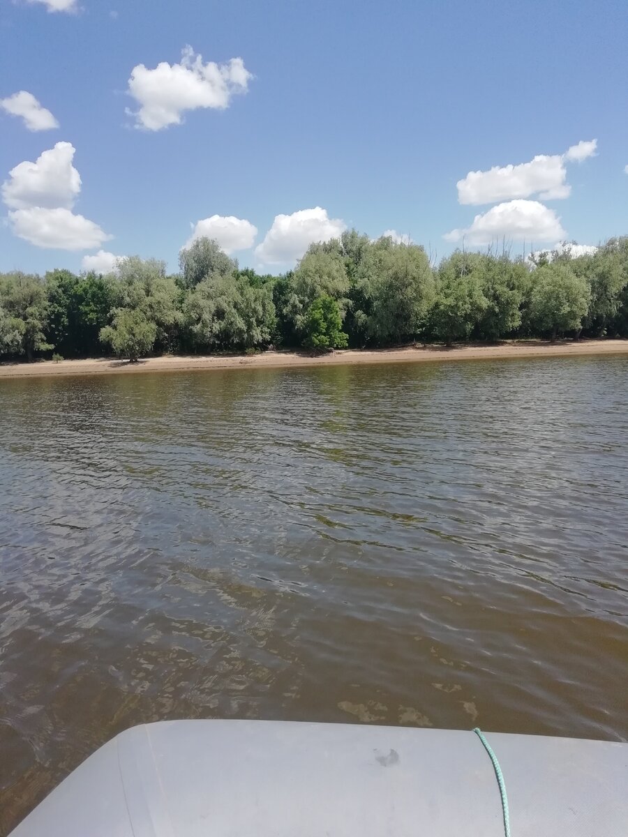 Волга совсем обмельчала(((