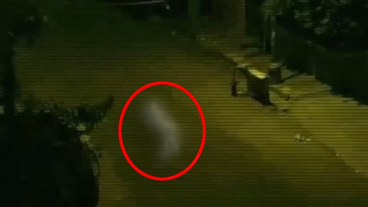 Источник фото: www.youtube.com.