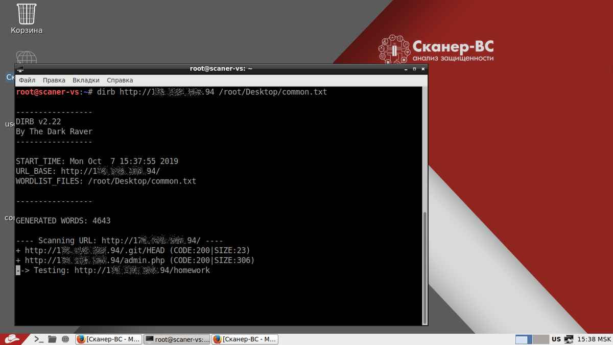 Пример успешного нахождения скрытых объектов на веб-сайте