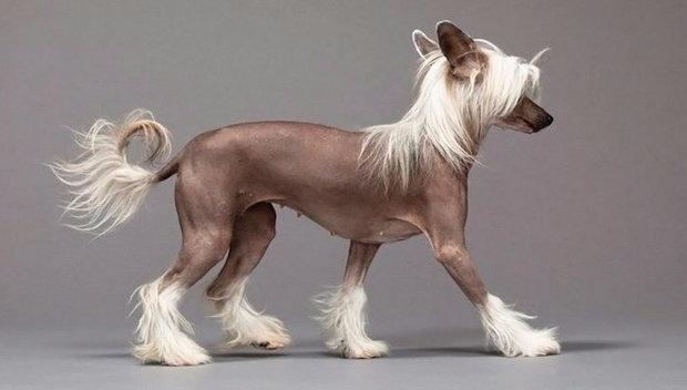 Защита от дождя