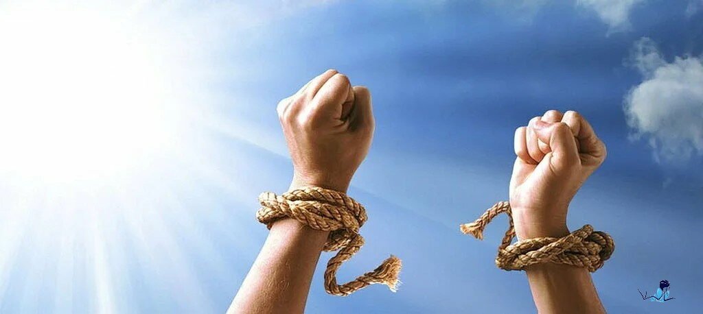 Да, я смогу!