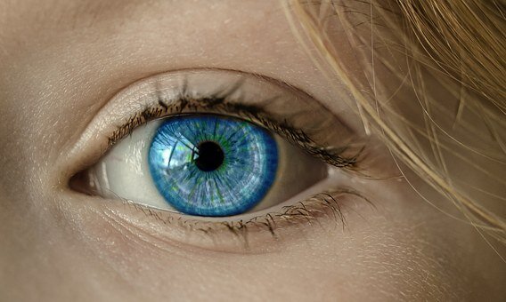 https://cdn.pixabay.com/photo/2016/02/01/16/10/eye-1173863__340.jpg