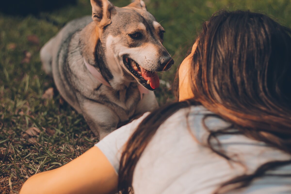 https://unsplash.com/photos/jYxNsyxoKJ4