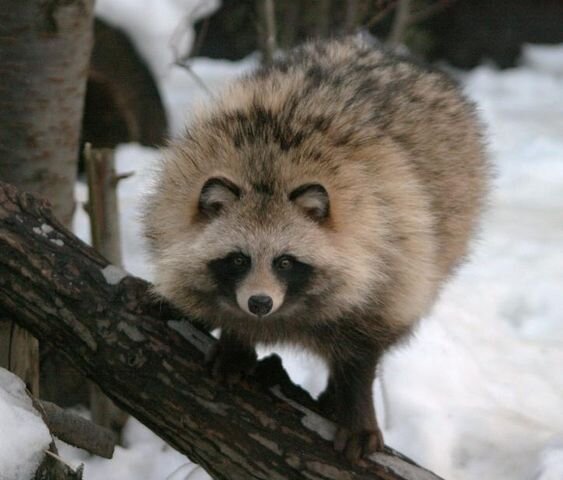 Источник https://www.pinterest.ru/pin/304415256043230752/