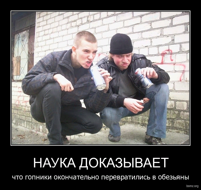 Картинка взята из открытых источников
