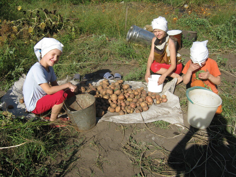 Яндекс Картинки