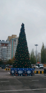 Не типичная картина для Воронежа