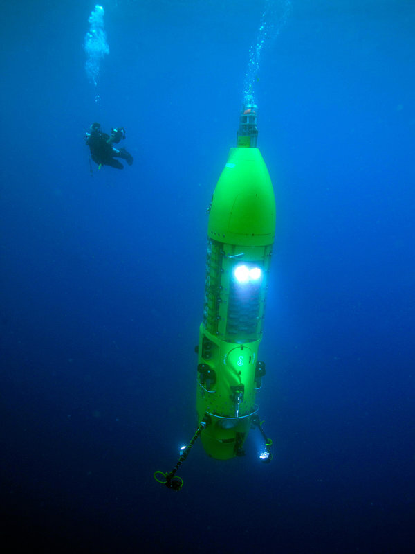 Источник: https://static01.nyt.com/images/2013/03/26/us/DIVE/DIVE-articleLarge.jpg