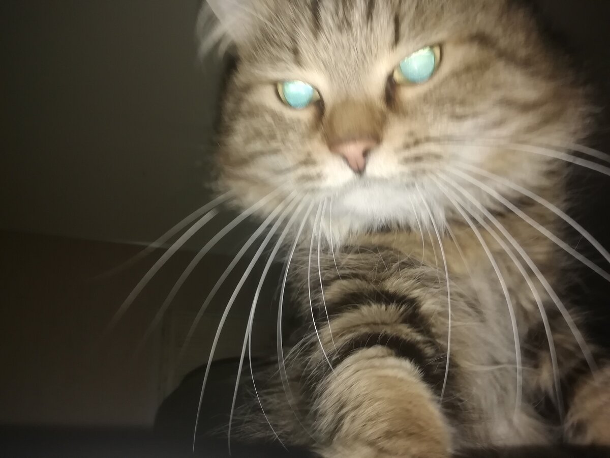 Привет Вам от нашего Йоды)