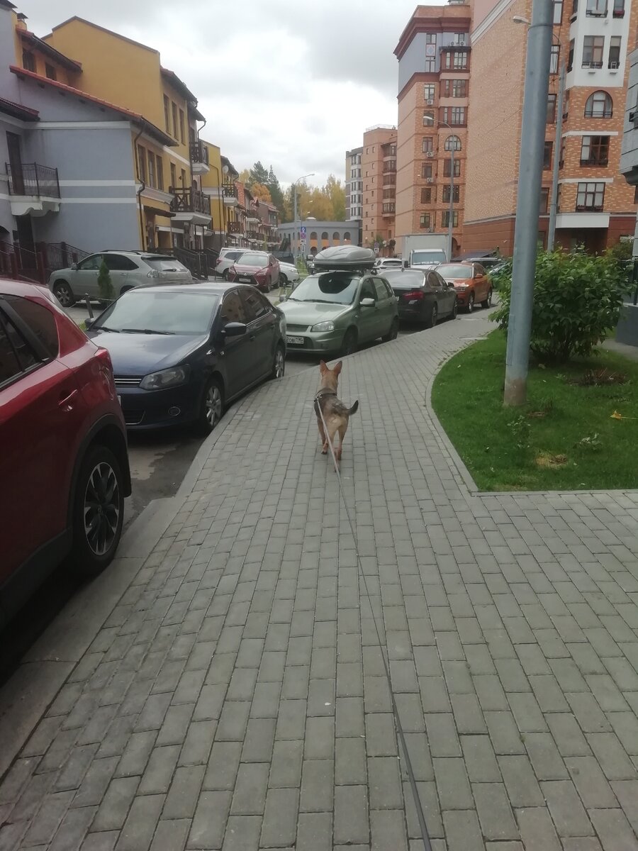 Моя помощница во всех делах 