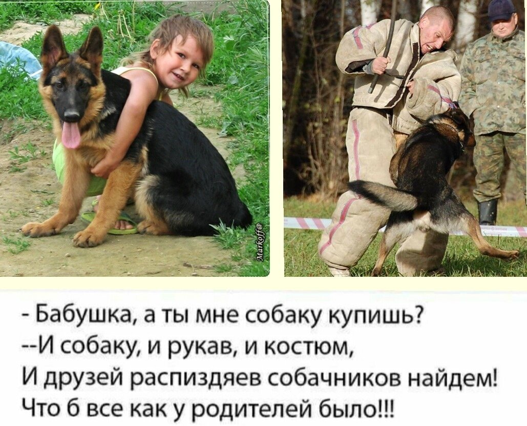 Взято из просторов интернета